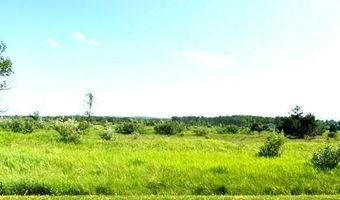 UNIT 51 SUNSET BOULEVARD, Alanson, MI 49706