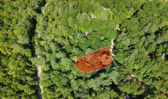 10-3 9 Tobey Rd, Campton, NH 03223