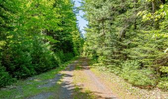 131 Gales Rd, Abbot, ME 04406