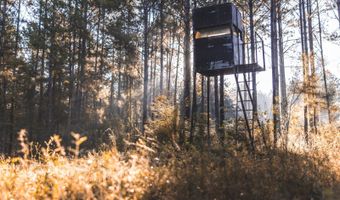 Bill Hubbard Rd, Braxton, MS 39044