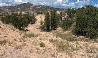 Block 24 Lot 19 Cottonwood ln, Abiquiu, NM 87510