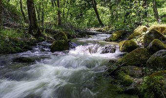 1800 Neil Creek Rd, Ashland, OR 97520
