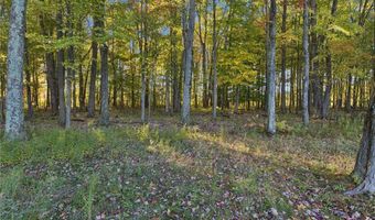 3203 Merchants Ave, Ashtabula, OH 44004