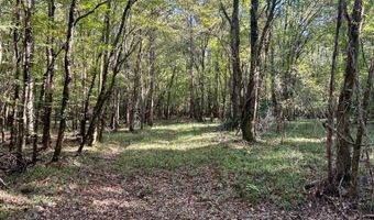 0 Lloyd Mill Rd, Andalusia, AL 36421