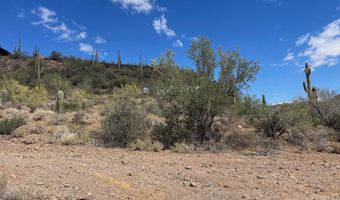 31900 S Tillys Trl, Black Canyon City, AZ 85324