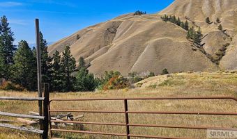 53 Runnin Bear Rd, Carmen, ID 83462