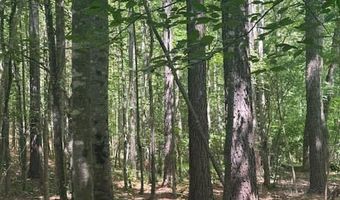 Piney Mountain Rd, Appomattox, VA 24522