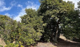 754 Rainbow Hills Rd, Fallbrook, CA 92028