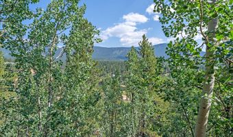153 Wise Rd, Bailey, CO 80421