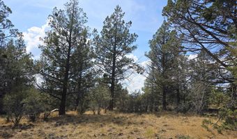 Canvasback Drive 32, Bonanza, OR 97623