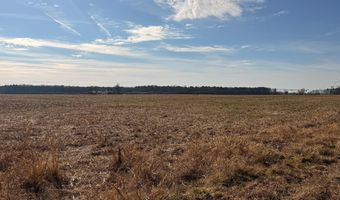 BLACK SWAMP ROAD, Felton, DE 19943