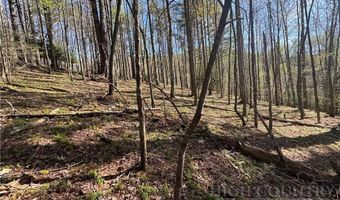 2438 Kellersville Rd, Banner Elk, NC 28604