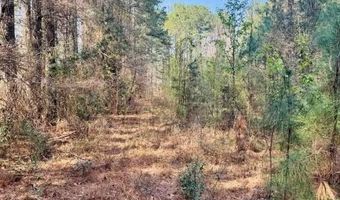 2299 E Main St Ext, Bennettsville, SC 29512