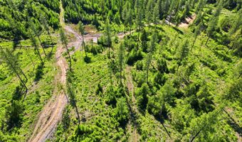 NNA Stone Rd Lot 5 20.0 Acres, Blanchard, ID 83804