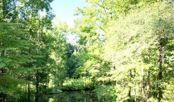 1475 MS-348, Blue Springs, MS 38828
