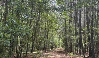 452 Tram Rd, Cades, SC 29518