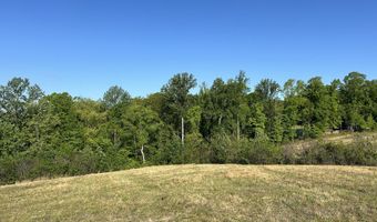 00 Tucker Rd, Bath Springs, TN 38311
