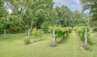 743 LEXINGTON MILL Rd, Magnolia, DE 19962