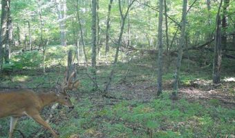 2423 9th Dr, Adams, WI 53910
