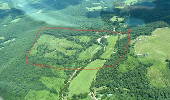 000 Tbd County Rd T-541, Ava, MO 65608