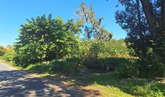 335 E 12TH St, Apopka, FL 32703