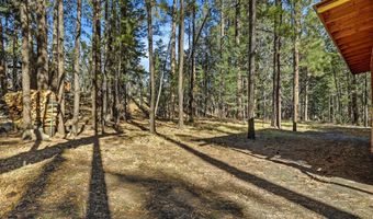 30 County Road 2066, Alpine, AZ 85920