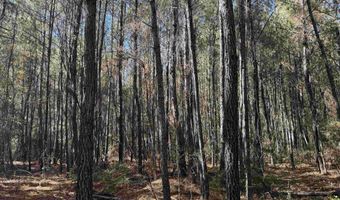 793 Puncheon Creek Dr, Andrews, SC 29510