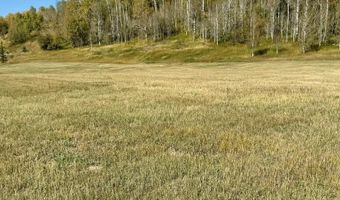 4051 Golden Stone Ln, Ashton, ID 83420