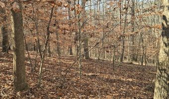 00001 Hwy 369, Ball Ground, GA 30107