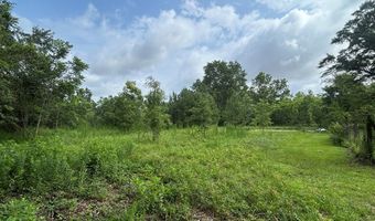 5606 Rocky Creek Rd, Ashford, AL 36312
