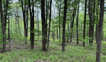 Woodland Hills Road, Andes, NY 13731
