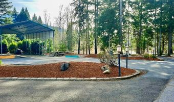 54432 MCKENZIE Hwy 41, Blue River, OR 97413