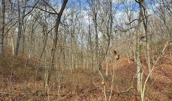 Farm Rd 1187 Lc, Ash Grove, MO 65604