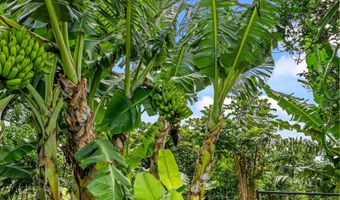 54-378 UNION MILL Rd, Kapaau, HI 96755
