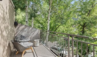 800 E Hopkins Ave B5, Aspen, CO 81611