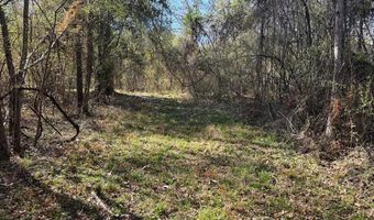 000 Mt Pleasant Ln SE, Bogue Chitto, MS 39629