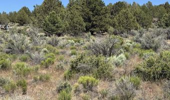 Medicine Mountain Drive 1, Beatty, OR 97621