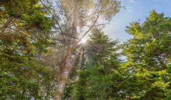 88627 WEISS ESTATES Ln, Bandon, OR 97411