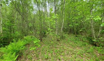 77 S Princeton Rd, Alexander, ME 04694