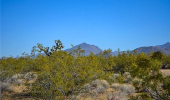 2641 S Javelina Rd, Yucca, AZ 86438