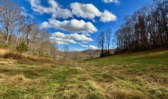 1520 Brittontown Rd, Afton, TN 37616
