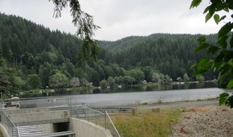 71250 NORTHSHORE Dr, Birkenfeld, OR 97016