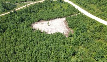 Tract 2 Tucker Road, Bath Springs, TN 38311