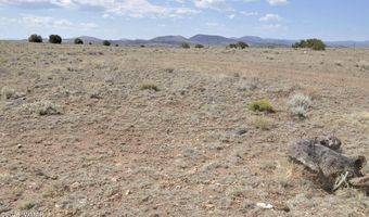 22 Antelope Ave, Concho, AZ 85924