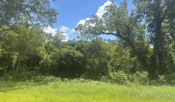 0 CR-215, Ariton, AL 36311