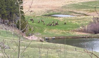 Old Flowers Rd, Bellvue, CO 80512
