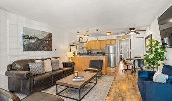 210 E Cooper Ave 1-C, Aspen, CO 81611
