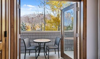 415 E Dean St. Unit 16 Week 9, Aspen, CO 81611