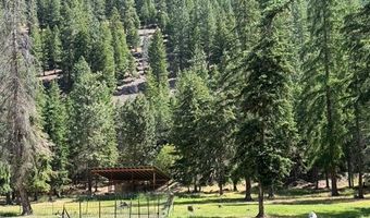 2368 Petty Creek Rd, Alberton, MT 59820