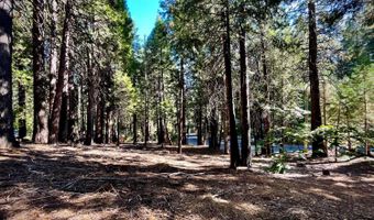 3285 Pocatello Cir, Camp Connell, CA 95223